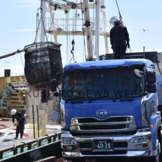 マイワシ漁獲量２０万６１６８㌧　道東沖巻き網漁終漁【釧路市】(2024-11-06)