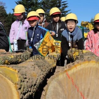 林業の大切さ実感　児童、間伐作業見学【根室】(2024-11-14)