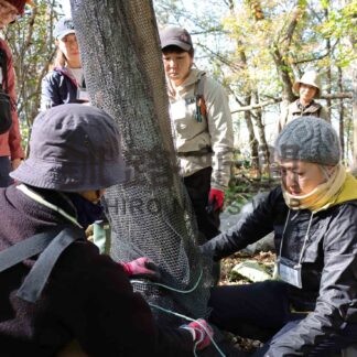 シカ樹木食害、漁網で守る　市民が奉仕団体の活動体験【根室】(2024-11-07)
