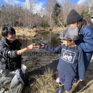 マリモに触れ生態学ぶ　市民団体、生息地で清掃も【釧路市】(2024-11-15)