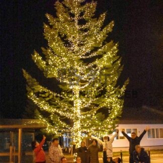 バス停留所イルミ彩り　川北の有志設置【標津】(2024-11-29)