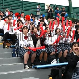 夏の高校野球支部予選２６年から廃止【釧路市】(2024-11-19)