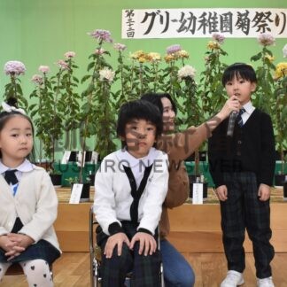 大輪きれいに咲いたよ　グリー幼稚園「菊祭り」園児が丹精【釧路市】(2024-11-06)