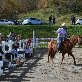乗馬の腕前披露　観光牧場でホースショー【標茶】(2024-11-10)