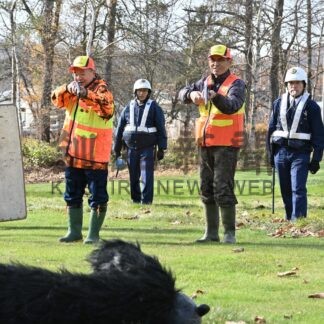 クマ出没時に対応　阿寒町で訓練、猟友会ハンターも参加【釧路市】(2024-11-16)