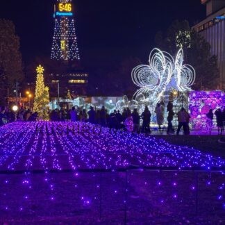 一足早くＸマス色　ホワイトイルミ、ミュンヘン市始まる【札幌】(2024-11-23)