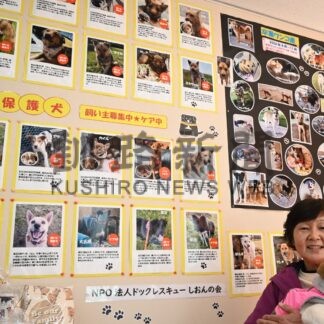 保護犬譲渡活動 パネルで紹介　ＮＰＯしおんの会 茶内郵便局で【浜中】(2024-12-21)