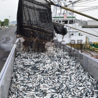 釧路港水揚げ量２年連続全国一　銚子を上回る【釧路市】(2024-12-28)