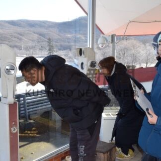 タンチョウの姿確認　釧根でも越冬分布調査【釧路市】(2024-12-06)
