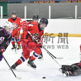全道中学アイスホッケー　釧鳥取 決勝進出【鳥】_3(2024-12-23)