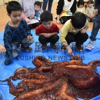 保育園児タコに触れる　漁協青年部出前授業【根室】(2024-12-20)