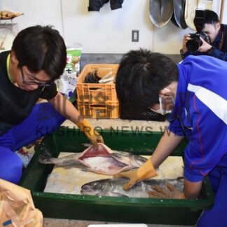 「山漬け」作りに挑戦　標津高生、サケ下処理し塩蔵【標津】(2024-12-02)