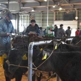 ホクレン根室地区家畜市場で初競り　ご祝儀相場で平均額上昇【中標津】(2025-01-09)