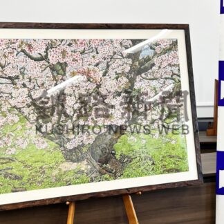 チシマザクラの魅力描く　石川進造氏の作品、市に寄贈【根室】(2025-01-07)