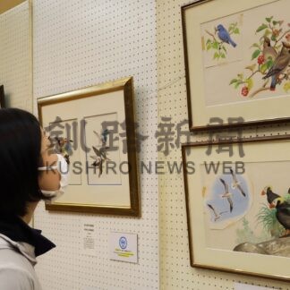 野鳥イラスト生き生き　図鑑画家谷口さん作品展【根室】(2025-01-19)