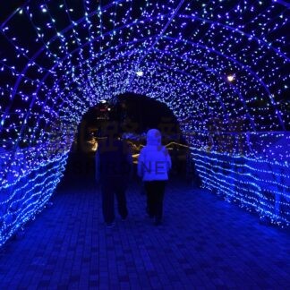 冬まつり前夜祭 イルミ点灯　市民や観光客楽しむ【釧路市】(2025-02-01)