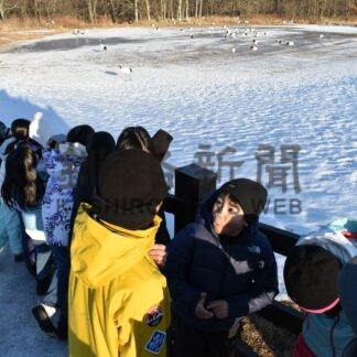 タンチョウ越冬分布調査に鶴居小児童が協力【鶴居】(2025-01-23)