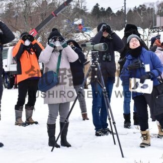 オオワシ、オジロワシに歓声　バードランドフェス開幕【根室】(2025-01-26)