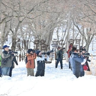 春採湖でオーバーツーリズム？　写真愛好家、観光客で混雑【釧路市】(2025-02-23)