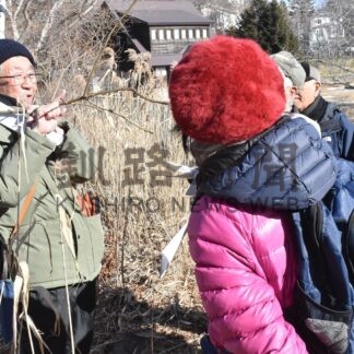 冬芽に注目、違いは？　春採公園周辺で樹木探索会【釧路市】(2025-03-01)