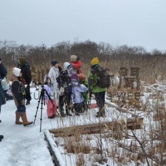 自然を学び体験しよう　湿原国立公園連絡協、こどもレンジャー募集【釧路市】(2025-02-18)