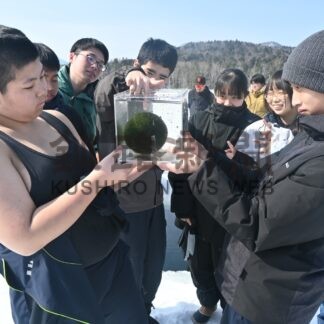 冬のマリモきれい　阿寒湖で氷上観察会【釧路市】(2025-03-13)