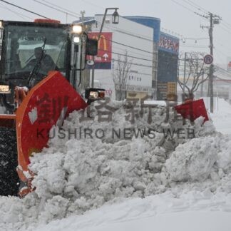 釧根で春吹き飛ばす大雪再び【釧路市】(2025-03-18)
