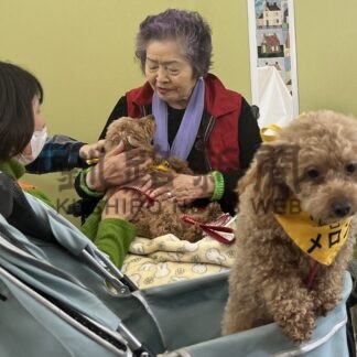 利用者の心身癒やす　りんどう園がドッグセラピー導入　【中標津】(2025-03-14)