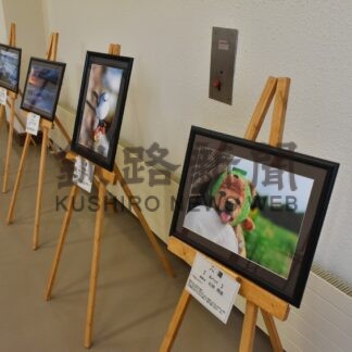 弟子屈の魅力活写　フォトコン入賞作品展【弟子屈】(2025-04-13)