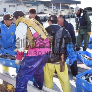 トキシラズ姿なし　春定置解禁、初水揚げ【釧路市】(2025-04-25)