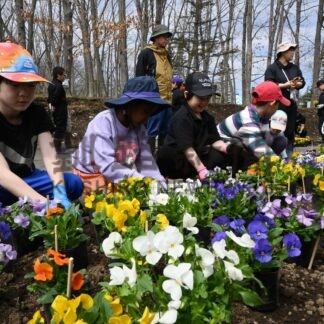 山花小中生が動物園でパンジー植栽【釧路市】(2025-04-26)