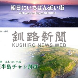 観光協会ＨＰ、ＳＮＳ閲覧最多　動画や東根室駅の話題一役【根室】(2025-04-29)