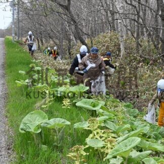 道道沿いでごみ拾い　釧路道路整備協組など地域貢献活動【釧路市】(2025-05-13)
