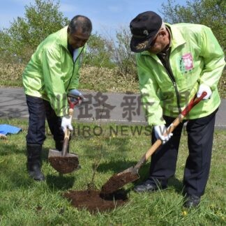 チシマザクラ５本植樹　千島連盟別海町支部、北方領土早期返還願い【別海】(2025-05-25)