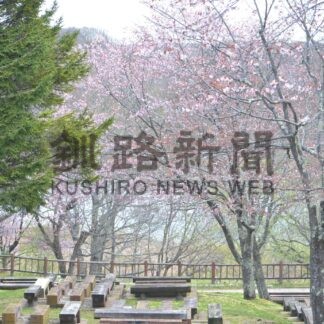 釧根 桜めぐり　◇１０　春採公園【釧路市】(2025-05-02)