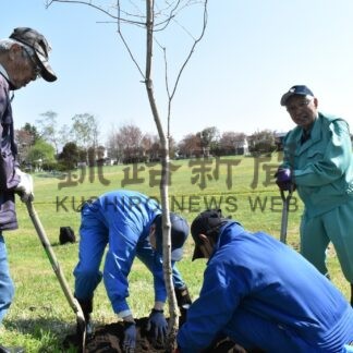 ミズナラの若木５本植樹　ドングリ拾える公園に【釧路市】(2025-05-20)