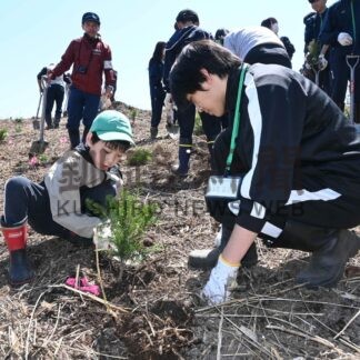 未来の森づくりに汗　町緑化推進委が植樹祭【白糠】(2025-05-21)