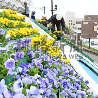 花時計春の装い【釧路市】(2025-05-18)