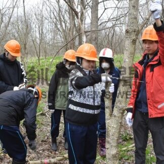 環境保全の重要性再認識　標津、川北中対象に町が育樹活動【標津】(2025-05-18)