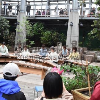 箏の音色会場に響く　ＥＧＧでコンサート【釧路市】(2025-05-26)