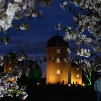 サクラ×サイロ ライトアップ　明治公園５日開幕【根室】(2025-05-04)