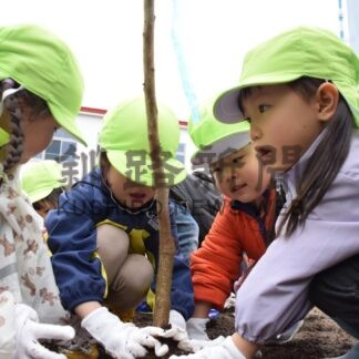 「苗木 大きくなーれ」　湖畔幼稚園児が植樹【釧路市】(2025-05-23)