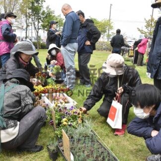 宿根草通し愛好者交流　釧路で交換・販売会【釧路市】(2025-05-29)