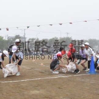 競技やダンス児童真剣　釧根管内小学校運動会シーズン_3(2025-06-23)