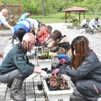 別保公園、花いっぱいに　建設事業協が花壇整備【釧路町】(2025-06-13)
