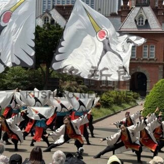 ＹＯＳＡＫＯＩ、釧根４チーム躍動【札幌】(2025-06-08)