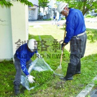 建設３社合同で草刈り作業に汗【釧路市】(2025-06-28)