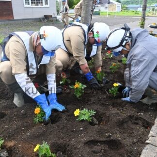 阿寒の国道沿いで770株花植え作業　小野寺組【釧路市】(2025-06-19)