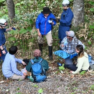 林道斜面転落に備え　消防阿寒湖温泉支署が訓練【釧路市】(2025-06-17)