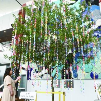 七夕の風情楽しんで　釧路空港で来月７日まで飾り設置【釧路市】(2025-06-27)